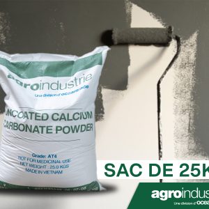 CARBONATE-DE-CALCIUM-99-5-microns-En-sac-de-25-kg-scaled